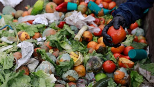 ¿Cuánta comida por día se tira a la basura?